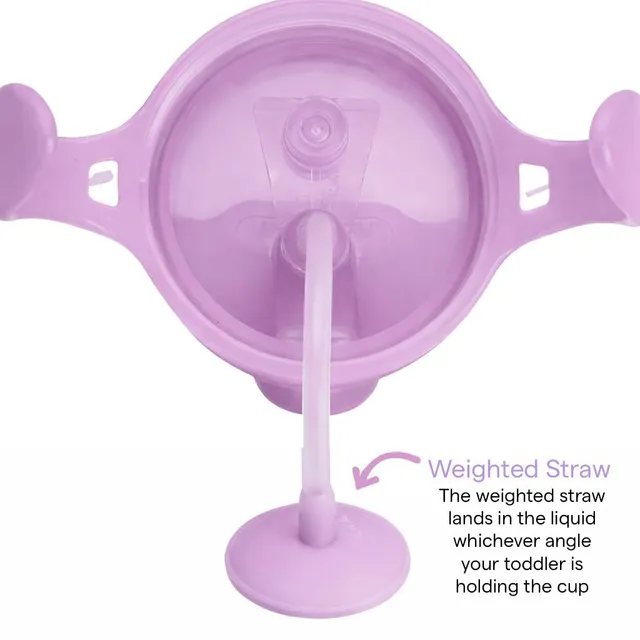 munchkin-any-angle-tasse-paille-lest-e-296-ml-click-lock-chat image 1